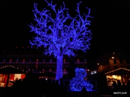 DSCN1085.JPG