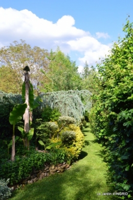 jardin soir et matin 035.JPG