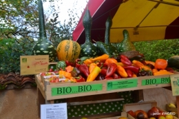 fête de la citrouille,jardinage,jardin 034.JPG