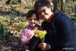bouquet,pt jonquilles,bord Dordogne 092.JPG