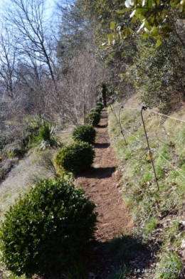 bibliotèque,colline 056.JPG