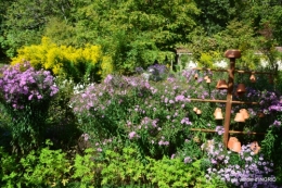 citadelle Blaye,bouquet,jardin,dahlias 138.JPG