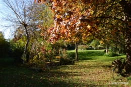 automne 2016 036.JPG
