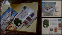 2014-02-03 enveloppes SOL2014,jardin,Nikky1.jpg