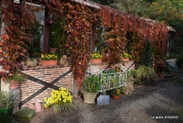 novembre en automne 047.JPG