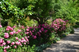 les roses,les 4 filles,jardin,Julie,coquelicots,cygnes 136.JPG