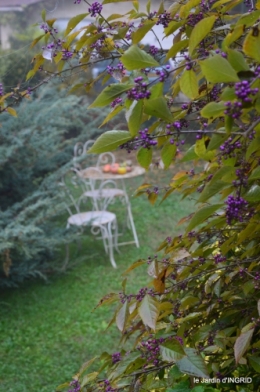 brouillard le matin d'automne 016.JPG