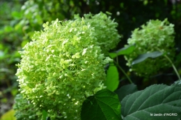 Meyrals,le Bugue,jardin 083.JPG