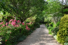 potager,chenille,pour le 18 juin,tour du jardin 076.JPG
