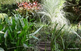 mon jardin