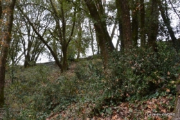 colline,crèche,taille 039.JPG