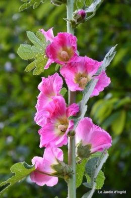 jardin,visites enfants 112.JPG