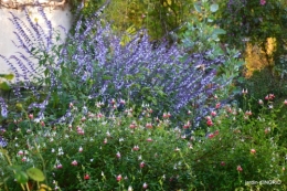 jardin,troc graines,coucher de soleil,la Brenne 028.JPG