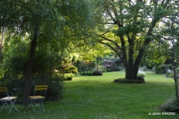cygnes,Sophie,jardin en mai 034.JPG