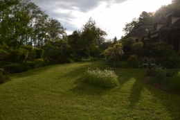 jardin,premières roses,colline,avant l'orage 122.JPG
