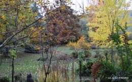 petit érable,le canal et lejardin àl'automne 157.JPG