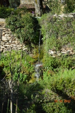 octobrejardin,citrouillesIssegeac,leCLOSdesSOURCES 137.JPG