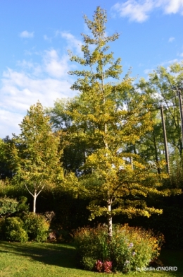 tour de jardin,bouquet,chez Bernadette, 075.JPG