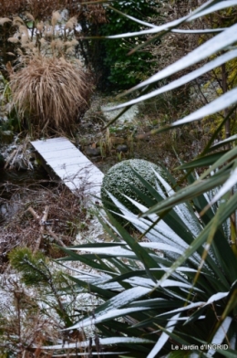 oiseaux première neige 038.JPG