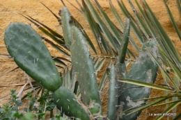 la Roque Gageac,Ines,jardin 085.JPG