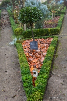 Brouillard,cypres chauve,jardinage 009.JPG
