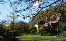 jardin automne ,petits roses 073.JPG
