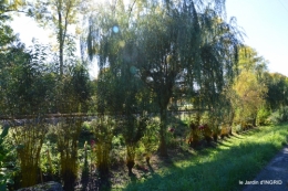 jardin automne,voisinage,canal 162.JPG