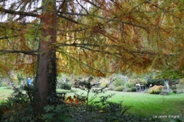 AUTOMNE,taille lantanas 061.JPG