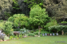 jardin soir et matin 073.JPG