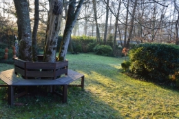première gelée,compositions florales à garder,jardin 030-001.JPG