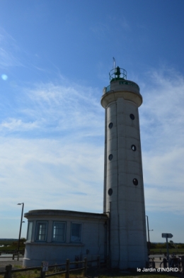 la baie de Somme 056.JPG