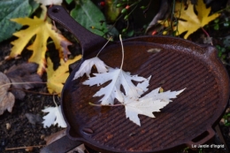 jardin serre bucher automne 024.JPG