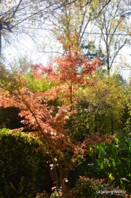 Fête de la noix Molières,automne,bouquet 043.JPG