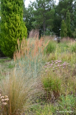 chez Willy,jardin 083.JPG