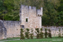 cornouiller,Limeuil,Campagne, 205.JPG
