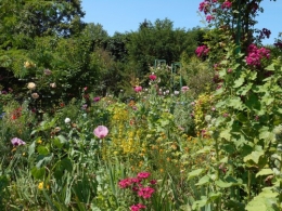 Normandie,jardin Monet,baie de Somme,chez Marylaur 187.JPG