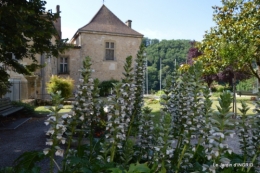 jardin,les filles,gerbera,Lalinde 150.JPG