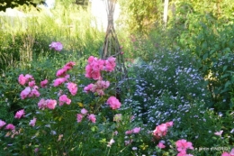 fleurs petit jardin,bouquets,grand jardin 072.JPG