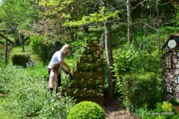 pyramide de fraisiers,toit végétalisé 012.JPG