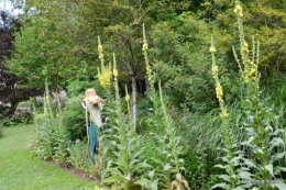 chez Fabien,le canal,jardin,hémérocalles,le souci,potager 058.JPG