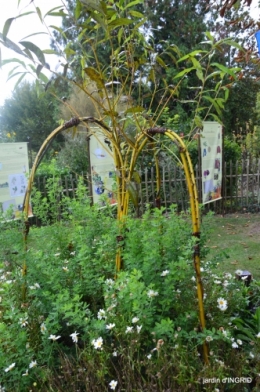 cornouiller,Limeuil,Campagne, 050.JPG