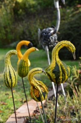 jardin,citrouille Issigeac,moulin Violette,Besse,Arya 106.JPG