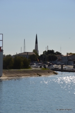 l ile de Ré,jardin automne 112.JPG