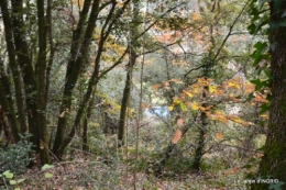 colline,crèche,taille 040.JPG