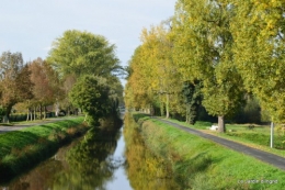 sauges,plectanthrus,Romane,canal,manthe r.,automne 055.JPG