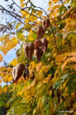 DSC_0317.JPG