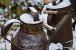 oiseaux première neige 041.JPG