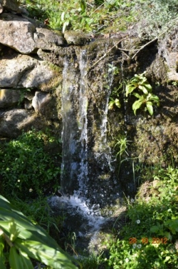 octobrejardin,citrouillesIssegeac,leCLOSdesSOURCES 133.JPG