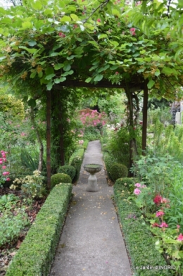 roses,marguerites,MOI,fêtes des mères avec les enfants 091.JPG