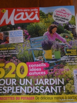 reportage,jardin tonte, 019.JPG